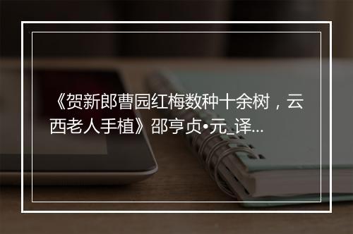 《贺新郎曹园红梅数种十余树，云西老人手植》邵亨贞•元_译文鉴赏_翻译赏析