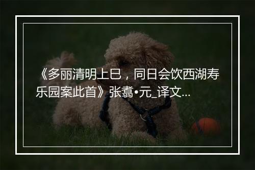 《多丽清明上巳，同日会饮西湖寿乐园案此首》张翥•元_译文鉴赏_翻译赏析