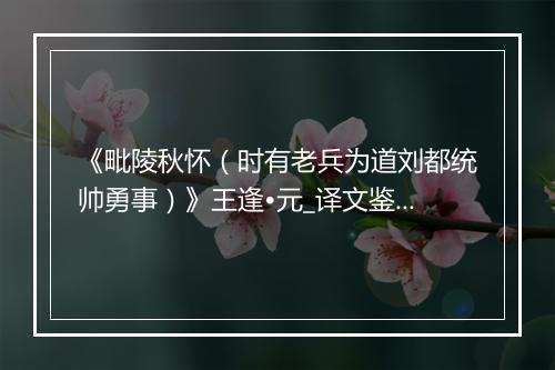 《毗陵秋怀（时有老兵为道刘都统帅勇事）》王逢•元_译文鉴赏_翻译赏析