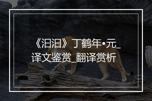 《汩汩》丁鹤年•元_译文鉴赏_翻译赏析