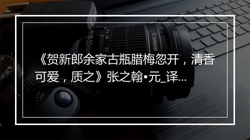 《贺新郎余家古瓶腊梅忽开，清香可爱，质之》张之翰•元_译文鉴赏_翻译赏析