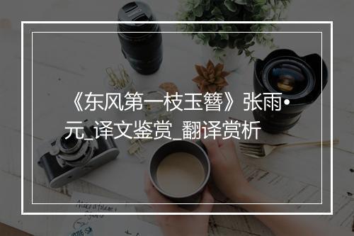 《东风第一枝玉簪》张雨•元_译文鉴赏_翻译赏析