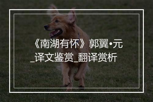 《南湖有怀》郭翼•元_译文鉴赏_翻译赏析