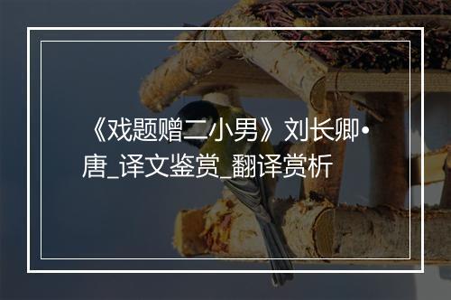 《戏题赠二小男》刘长卿•唐_译文鉴赏_翻译赏析