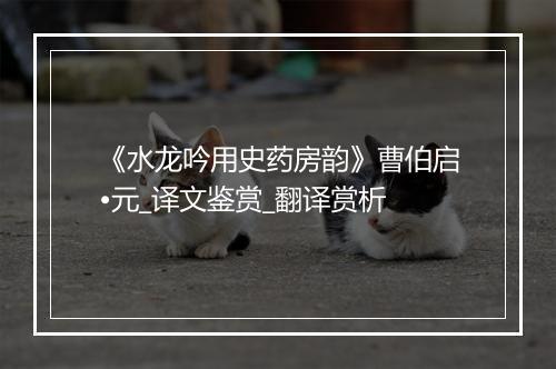 《水龙吟用史药房韵》曹伯启•元_译文鉴赏_翻译赏析