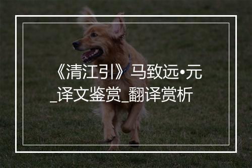 《清江引》马致远•元_译文鉴赏_翻译赏析