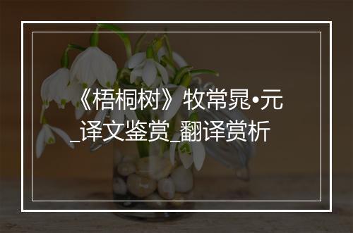 《梧桐树》牧常晁•元_译文鉴赏_翻译赏析