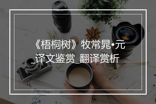 《梧桐树》牧常晁•元_译文鉴赏_翻译赏析