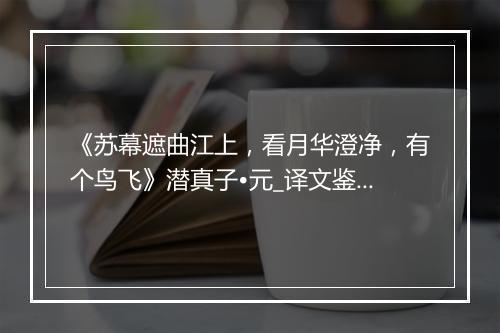 《苏幕遮曲江上，看月华澄净，有个鸟飞》潜真子•元_译文鉴赏_翻译赏析