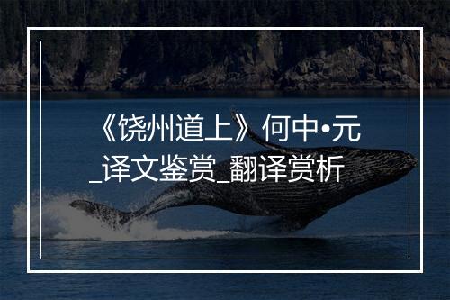 《饶州道上》何中•元_译文鉴赏_翻译赏析