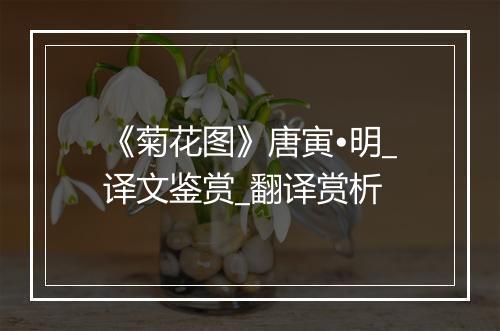 《菊花图》唐寅•明_译文鉴赏_翻译赏析