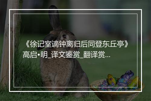 《徐记室谪钟离归后同登东丘亭》高启•明_译文鉴赏_翻译赏析