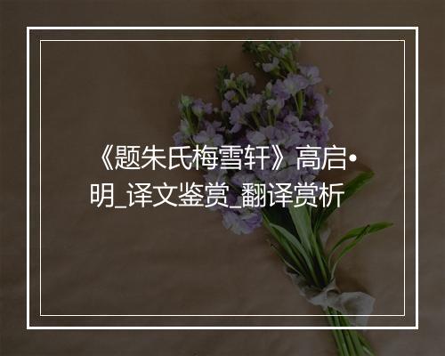 《题朱氏梅雪轩》高启•明_译文鉴赏_翻译赏析