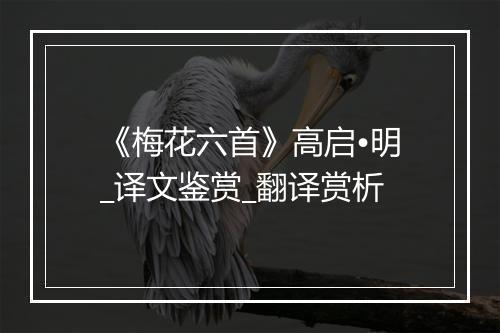 《梅花六首》高启•明_译文鉴赏_翻译赏析