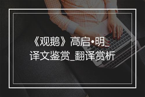 《观鹅》高启•明_译文鉴赏_翻译赏析