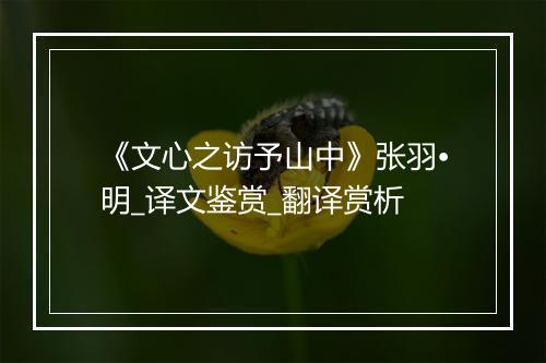 《文心之访予山中》张羽•明_译文鉴赏_翻译赏析