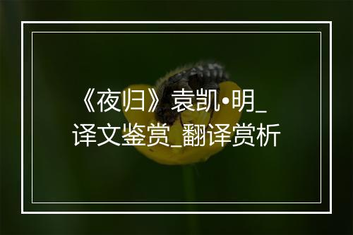 《夜归》袁凯•明_译文鉴赏_翻译赏析