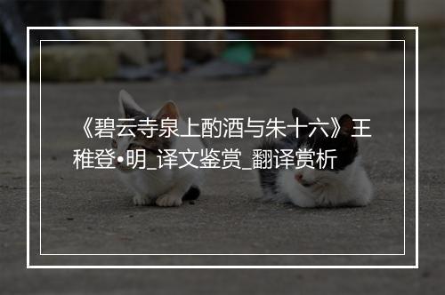 《碧云寺泉上酌酒与朱十六》王稚登•明_译文鉴赏_翻译赏析