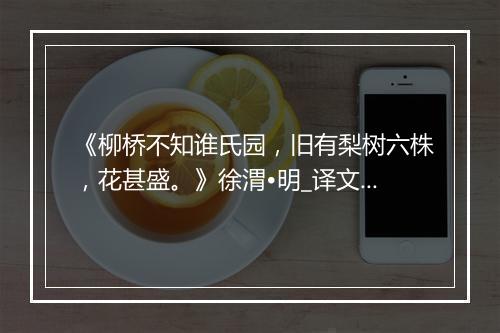 《柳桥不知谁氏园，旧有梨树六株，花甚盛。》徐渭•明_译文鉴赏_翻译赏析