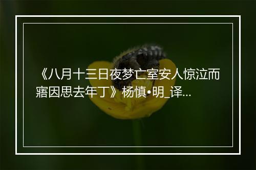 《八月十三日夜梦亡室安人惊泣而寤因思去年丁》杨慎•明_译文鉴赏_翻译赏析