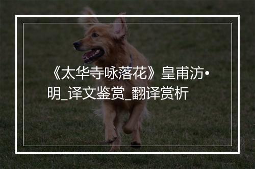 《太华寺咏落花》皇甫汸•明_译文鉴赏_翻译赏析