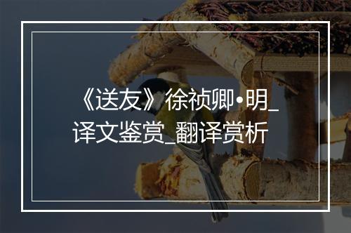 《送友》徐祯卿•明_译文鉴赏_翻译赏析