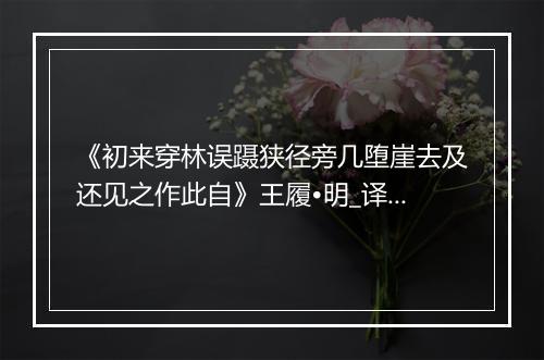 《初来穿林误蹑狭径旁几堕崖去及还见之作此自》王履•明_译文鉴赏_翻译赏析