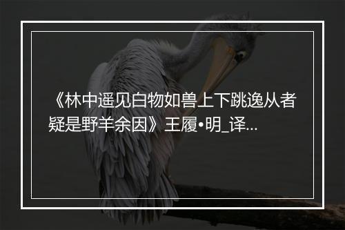 《林中遥见白物如兽上下跳逸从者疑是野羊余因》王履•明_译文鉴赏_翻译赏析