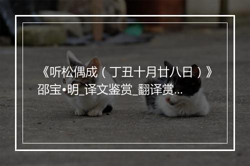 《听松偶成（丁丑十月廿八日）》邵宝•明_译文鉴赏_翻译赏析