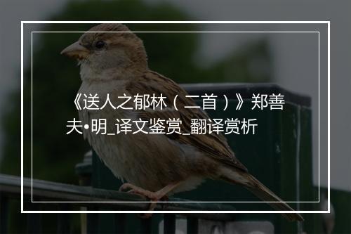 《送人之郁林（二首）》郑善夫•明_译文鉴赏_翻译赏析