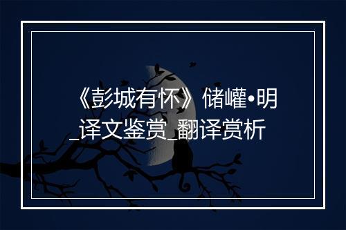 《彭城有怀》储巏•明_译文鉴赏_翻译赏析