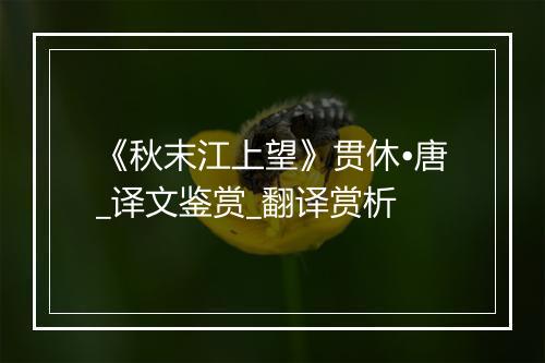 《秋末江上望》贯休•唐_译文鉴赏_翻译赏析