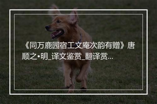 《同万鹿园宿工文庵次韵有赠》唐顺之•明_译文鉴赏_翻译赏析