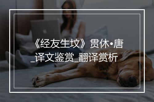 《经友生坟》贯休•唐_译文鉴赏_翻译赏析