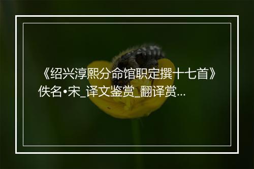 《绍兴淳熙分命馆职定撰十七首》佚名•宋_译文鉴赏_翻译赏析