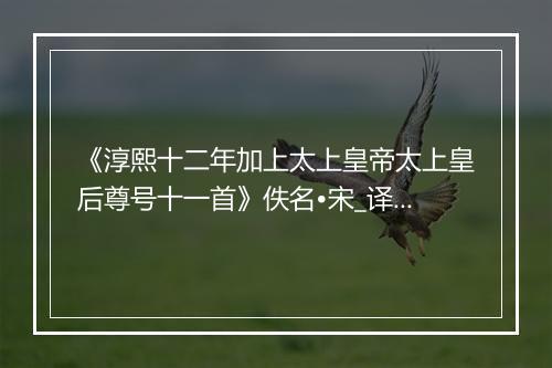 《淳熙十二年加上太上皇帝太上皇后尊号十一首》佚名•宋_译文鉴赏_翻译赏析