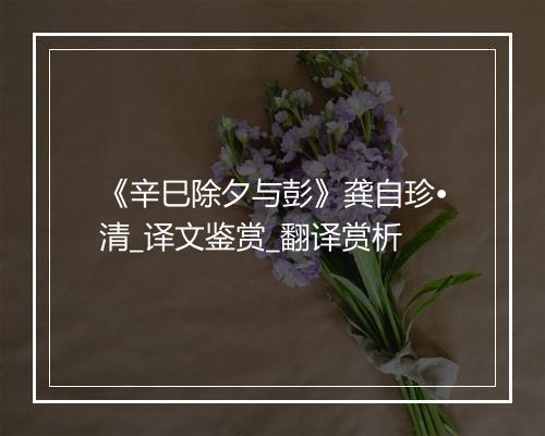 《辛巳除夕与彭》龚自珍•清_译文鉴赏_翻译赏析