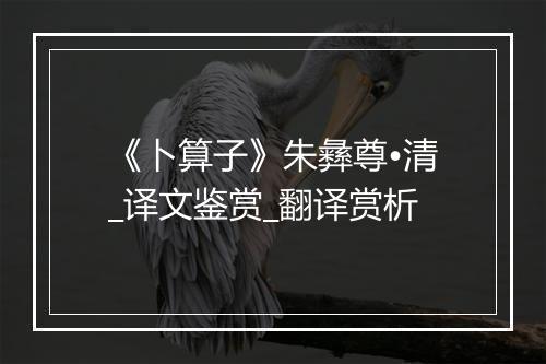 《卜算子》朱彝尊•清_译文鉴赏_翻译赏析