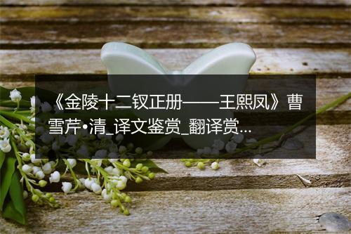 《金陵十二钗正册——王熙凤》曹雪芹•清_译文鉴赏_翻译赏析