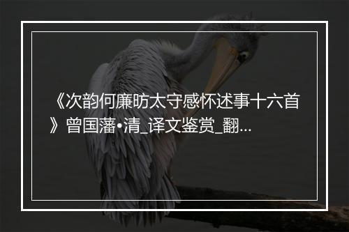 《次韵何廉昉太守感怀述事十六首》曾国藩•清_译文鉴赏_翻译赏析