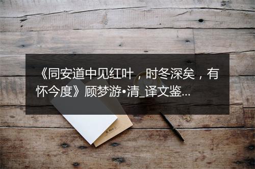 《同安道中见红叶，时冬深矣，有怀今度》顾梦游•清_译文鉴赏_翻译赏析