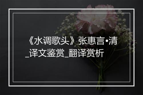 《水调歌头》张惠言•清_译文鉴赏_翻译赏析