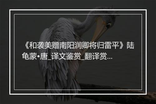 《和袭美赠南阳润卿将归雷平》陆龟蒙•唐_译文鉴赏_翻译赏析