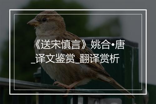 《送宋慎言》姚合•唐_译文鉴赏_翻译赏析