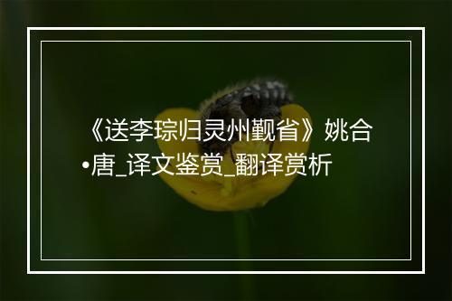 《送李琮归灵州觐省》姚合•唐_译文鉴赏_翻译赏析