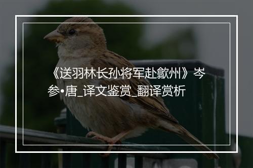 《送羽林长孙将军赴歙州》岑参•唐_译文鉴赏_翻译赏析