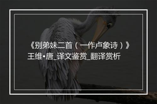 《别弟妹二首（一作卢象诗）》王维•唐_译文鉴赏_翻译赏析