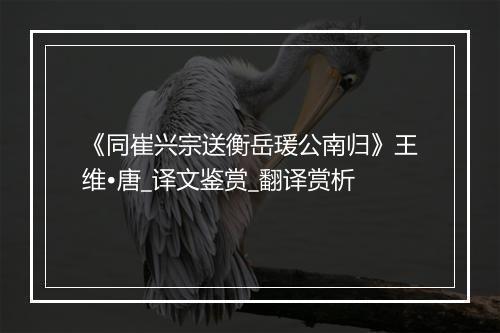 《同崔兴宗送衡岳瑗公南归》王维•唐_译文鉴赏_翻译赏析