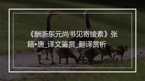 《酬浙东元尚书见寄绫素》张籍•唐_译文鉴赏_翻译赏析