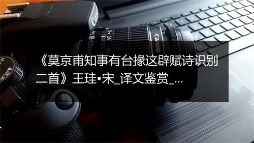 《莫京甫知事有台掾这辟赋诗识别二首》王珪•宋_译文鉴赏_翻译赏析